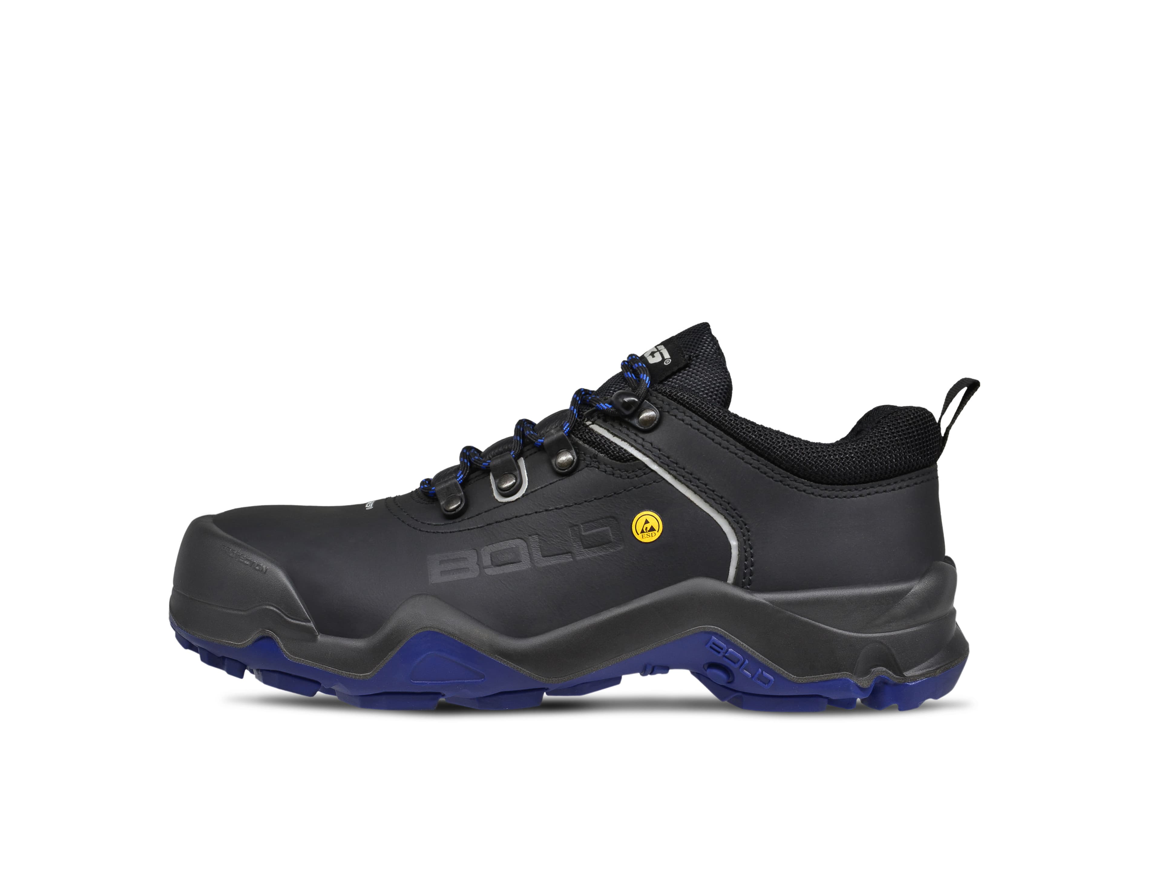 Beta 1 NTP — view 1